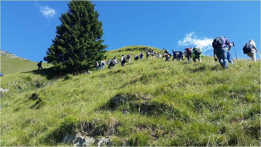 阿尔卑斯3.jpg 阿尔卑斯3.jpg